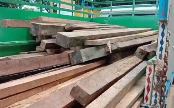 Amarpur Forest Department officials seized huge amount of timber from a house Amarpur Forest Department officials seized huge amount of timber from a house